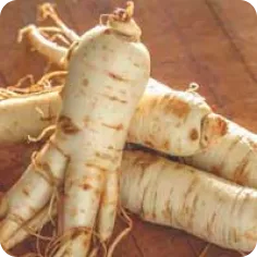 image Ginseng